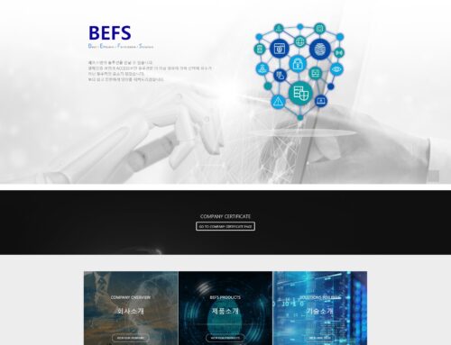Web site design_BEFS
